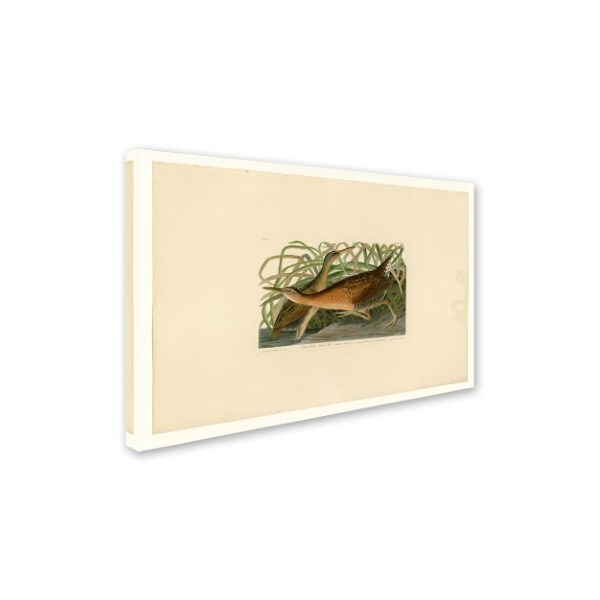 Audubon 'Fresh Water Marsh Henplate 203' Canvas Art,22x32